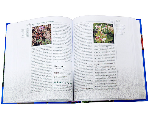 Лучшие садовые цветы Серия: Энциклопедия цветовода, дачника инфо 12013c.