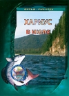 Хариус в июле Формат: DVD (PAL) (Упрощенное издание) (Keep case) Дистрибьютор: Спортивный клуб "Рыболов" Региональный код: 5 Количество слоев: DVD-5 (1 слой) Звуковые дорожки: Русский Dolby инфо 12064c.