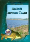Сазан залива Сыда Формат: DVD (PAL) (Упрощенное издание) (Keep case) Дистрибьютор: Спортивный клуб "Рыболов" Региональный код: 5 Количество слоев: DVD-5 (1 слой) Звуковые дорожки: Русский Dolby инфо 12079c.