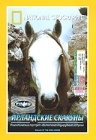 National Geographic Ирландские скакуны Формат: DVD (PAL) (Super jewel case) Дистрибьютор: Парадиз Видео Региональный код: 5 Звуковые дорожки: Русский Английский Формат изображения: инфо 3171h.