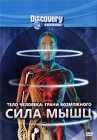 Discovery: Тело человека: Грани возможного Сила мышц Формат: DVD (PAL) (Keep case) Дистрибьютор: DVD Магия Региональный код: 5 Количество слоев: DVD-5 (1 слой) Звуковые дорожки: Русский Закадровый перевод Dolby инфо 4411h.