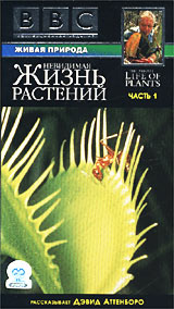BBC: Невидимая жизнь растений Часть 2 Формат: VHS Дистрибьютор: СОЮЗ Видео HiFi Stereo ; Закадровый перевод Лицензионные товары Характеристики видеоносителей 1995 г , 75 мин , Великобритания Научно - популярный фильм инфо 4423i.